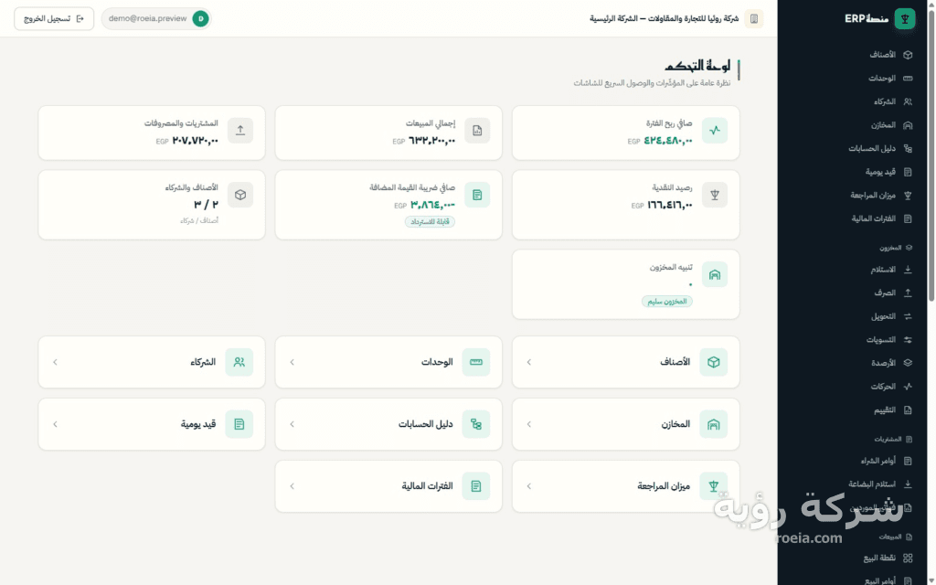 رؤية ERP