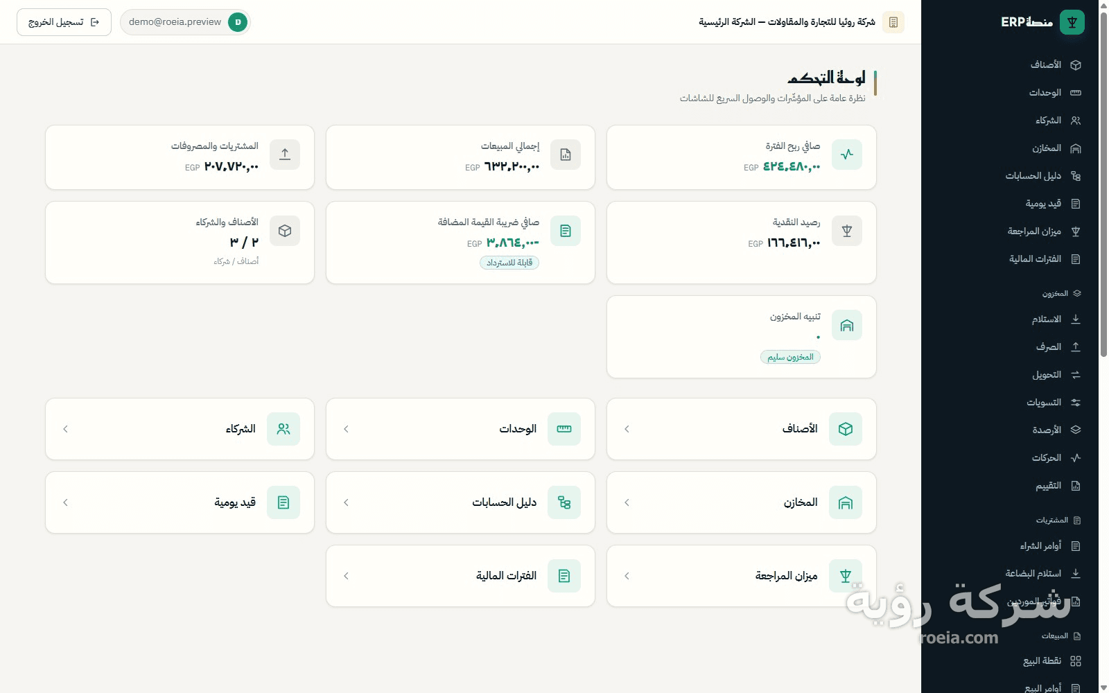 رؤية ERP — معاينة 1