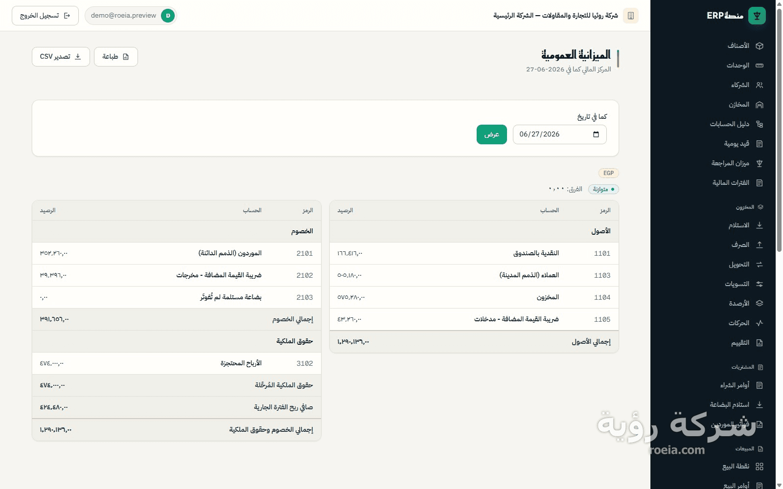 رؤية ERP — معاينة 5